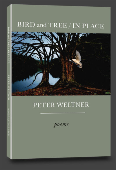 peter weltbner, poetry